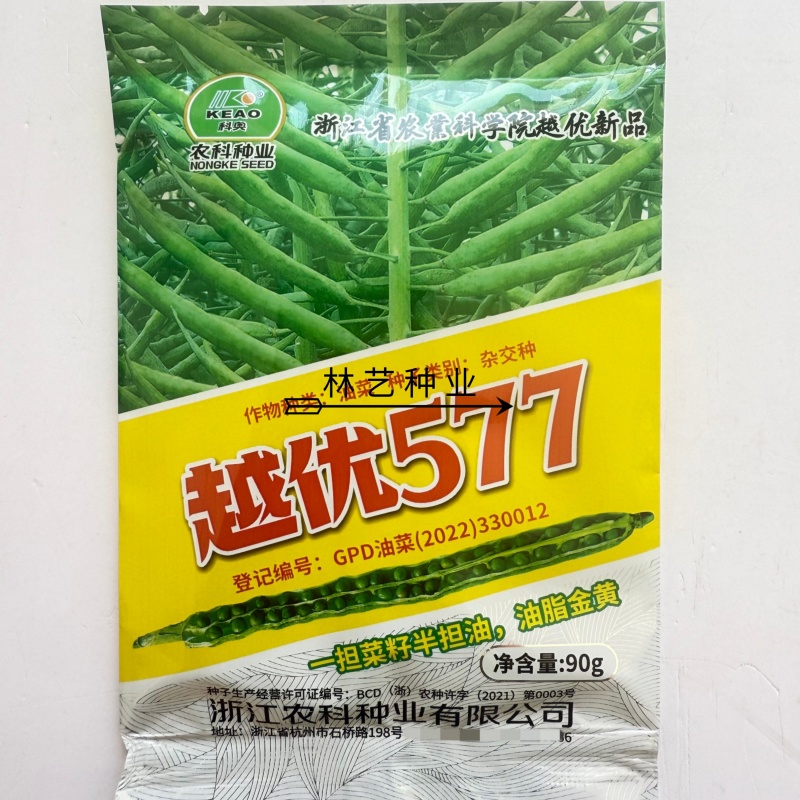 越优577食用型油菜种子高产高含油矮杆抗寒抗病适广性强