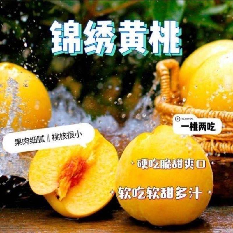 湖北红心黄桃新鲜桃子脆甜店管家对接平台一件代发