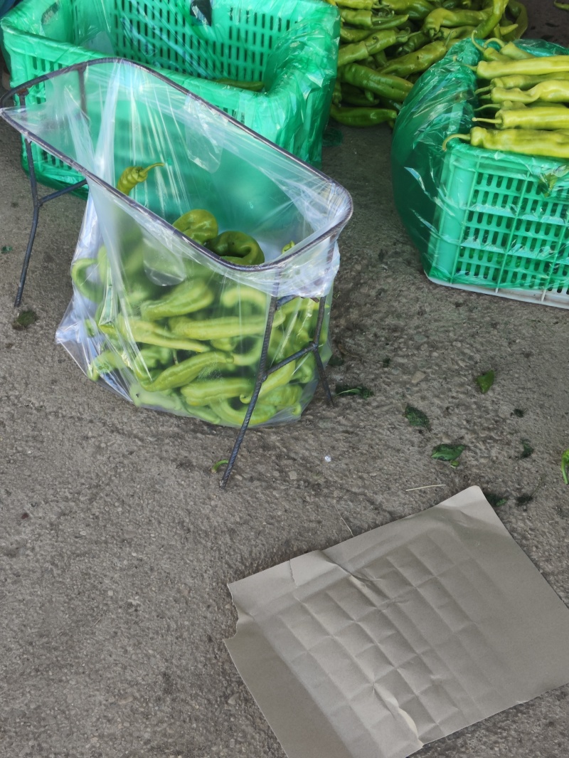 精品辣椒