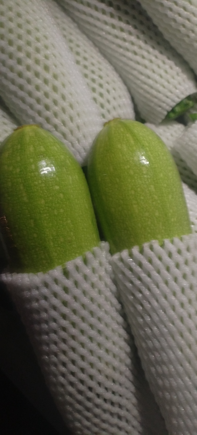 定西绿皮菜瓜***********