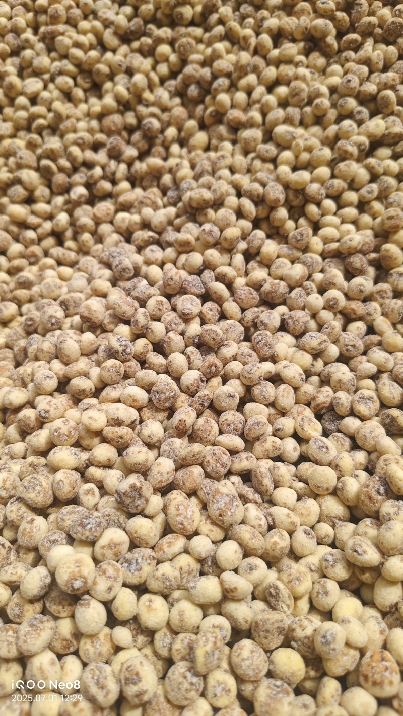 新疆脱皮油莎豆