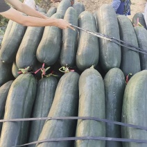 冬瓜