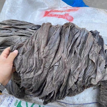 AA级盐毛肚牛内脏牛副产品干毛肚牛胃大叶片