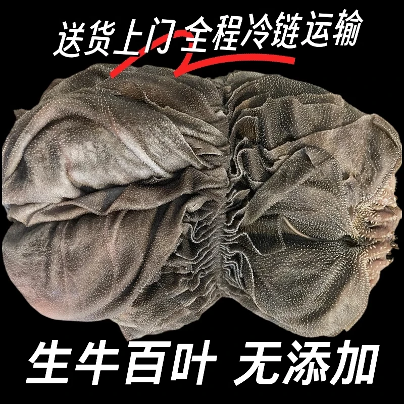 AA级盐毛肚牛内脏牛副产品干毛肚牛胃大叶片