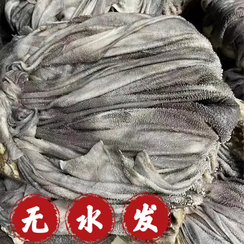 AA级盐毛肚牛内脏牛副产品干毛肚牛胃大叶片