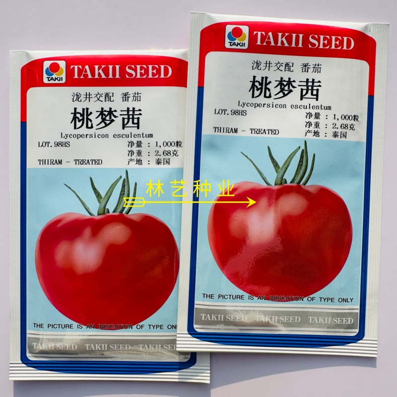 桃梦茜口感型进口粉红番茄种子早熟无限生长耐低温酸甜可口