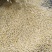 速冻甜玉米粒新货上市厂家直销