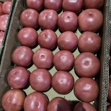 硬粉西红柿