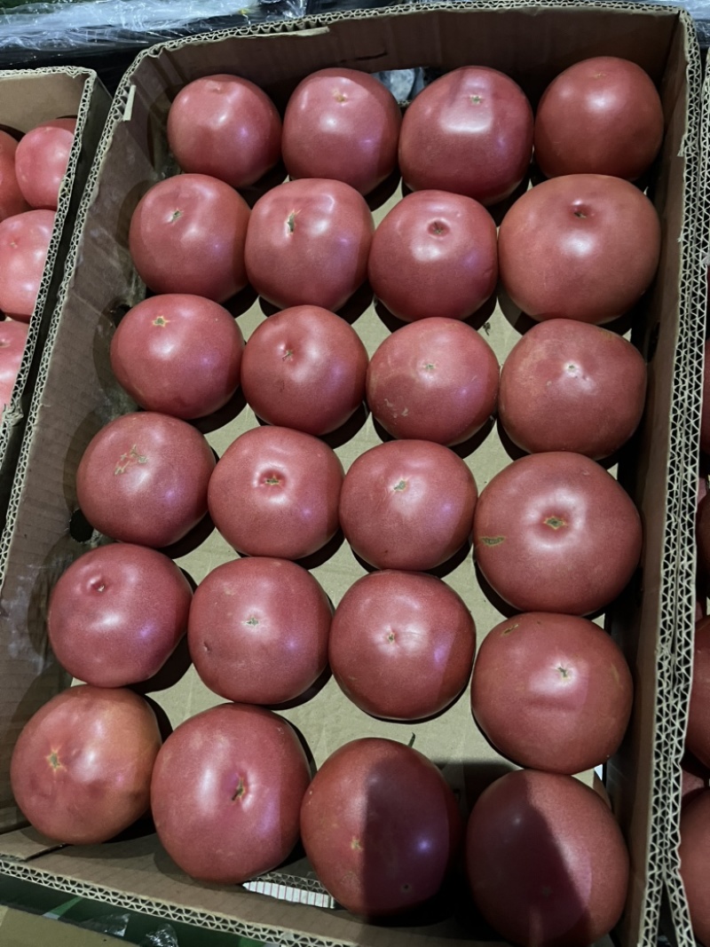 硬粉西红柿