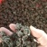 中药材，猫爪草厂家直发量大从优支持在线下单欢迎来电
