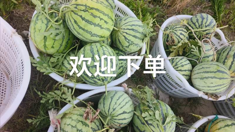 欢迎下单