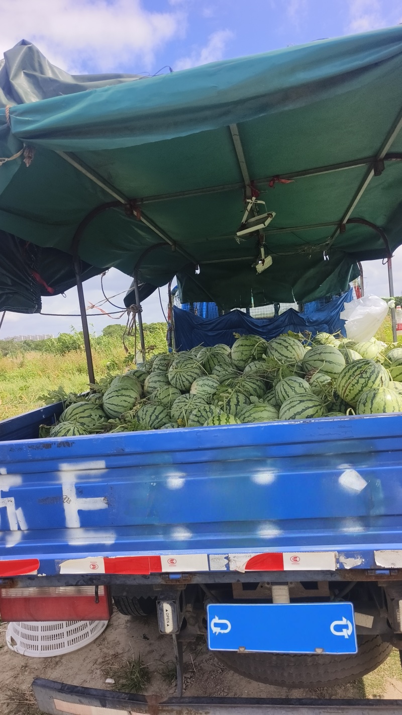 欢迎下单