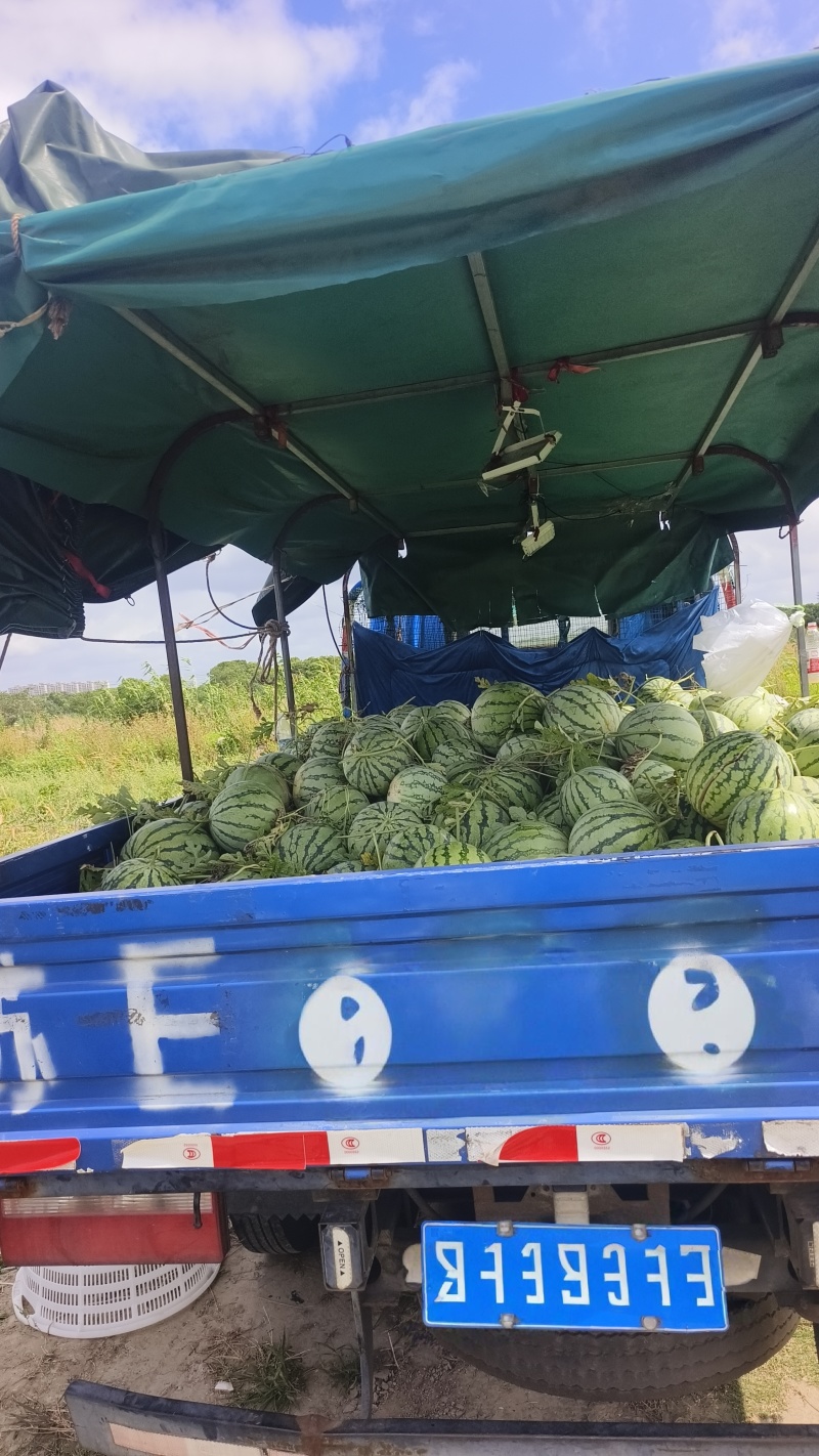 欢迎下单