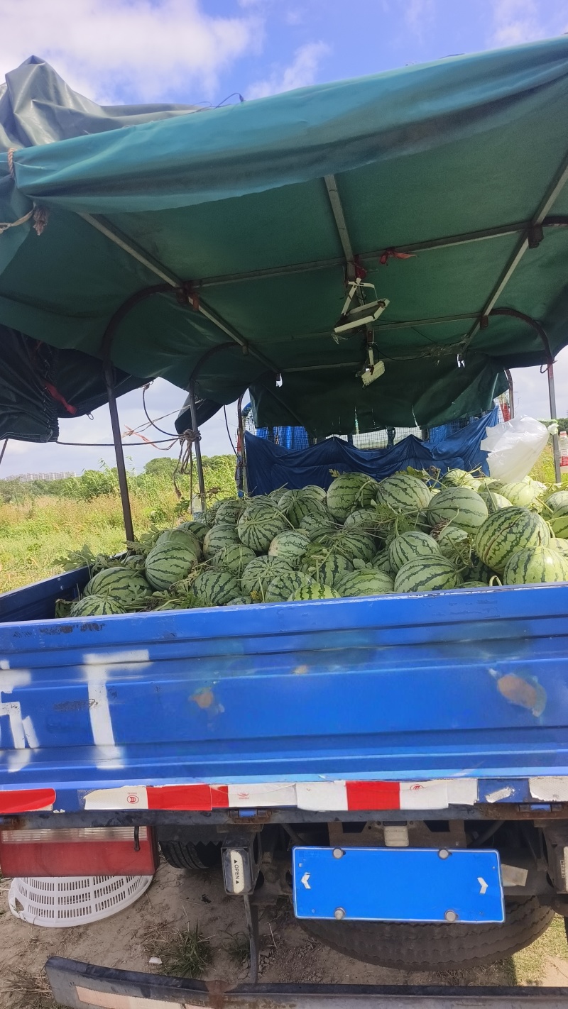 欢迎下单