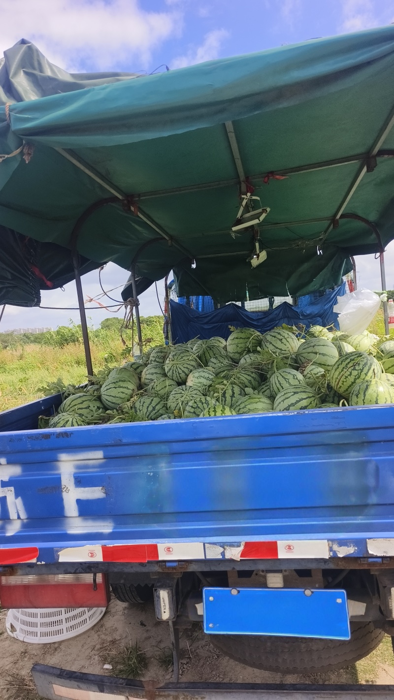 欢迎下单