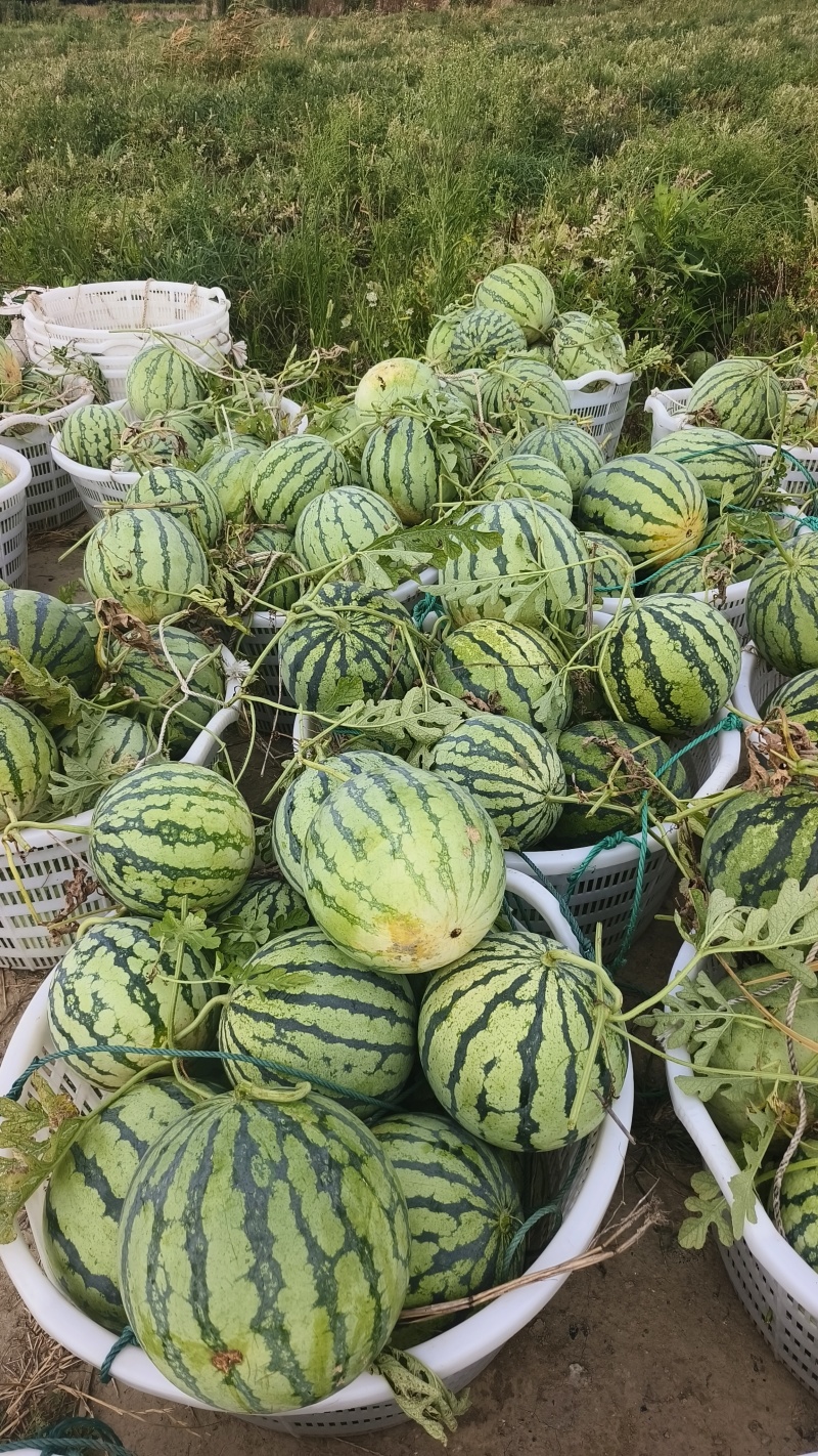 欢迎下单