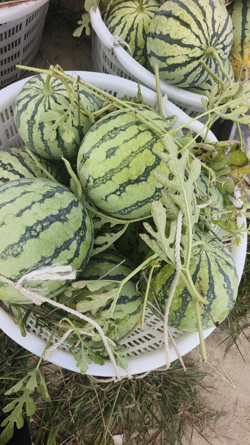 欢迎下单