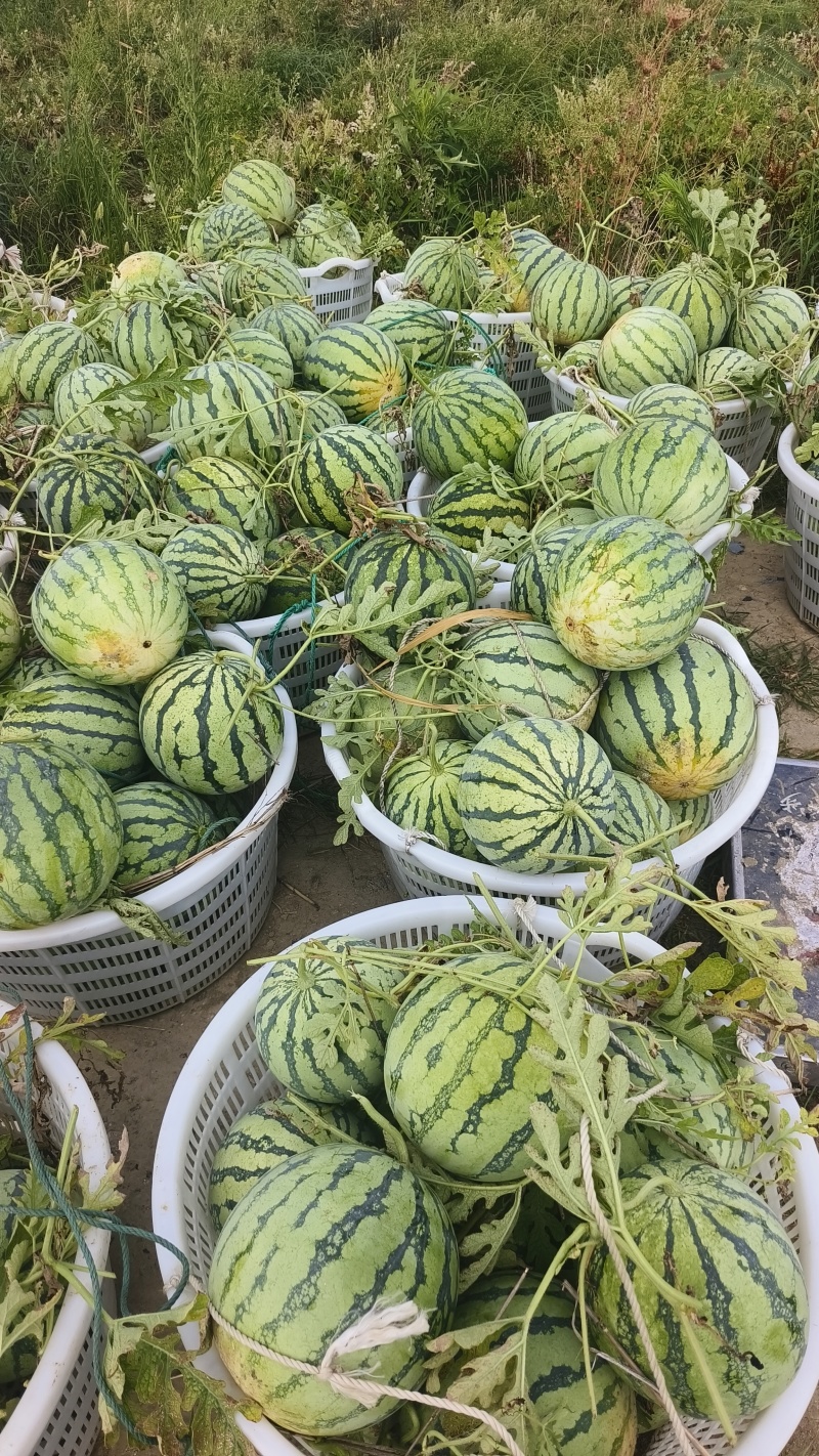 欢迎下单