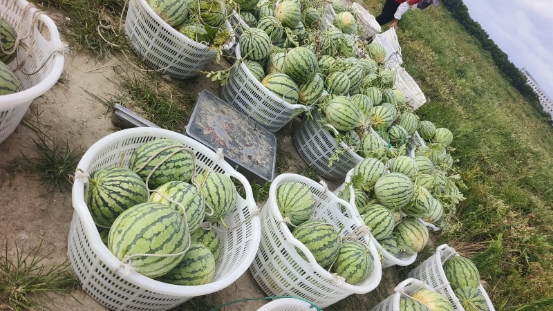 欢迎下单