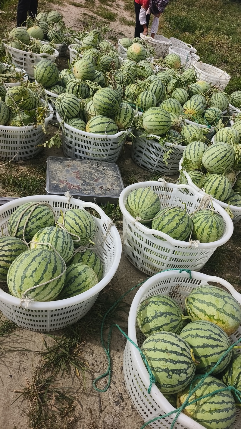 欢迎下单