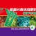 莴笋专用肥料肥料贡菜莴苣红笋冲施肥增粗冲施肥