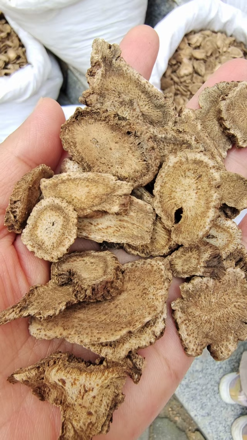 云木香各种规格选货2斤包邮量大优惠