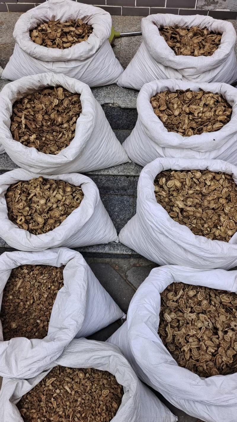 云木香各种规格选货2斤包邮量大优惠