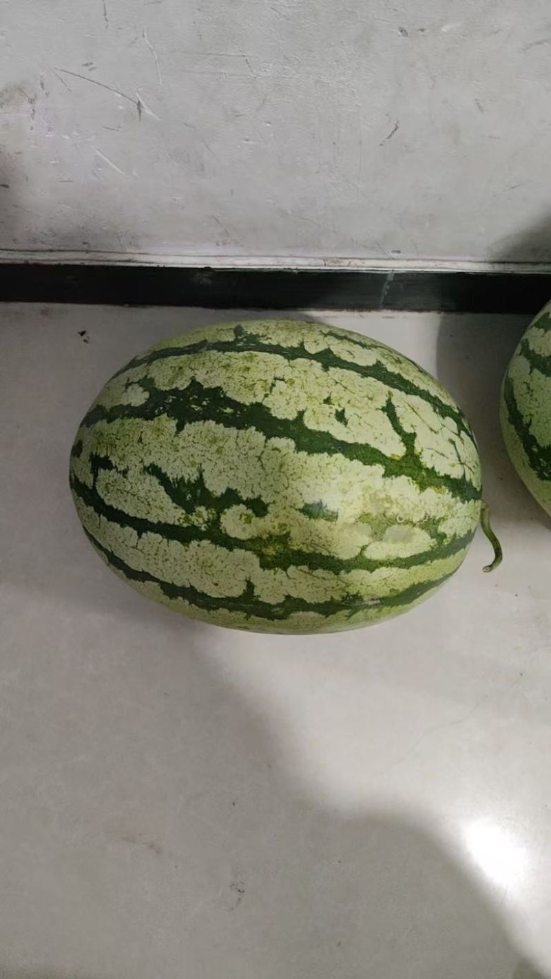 旱地大瓜