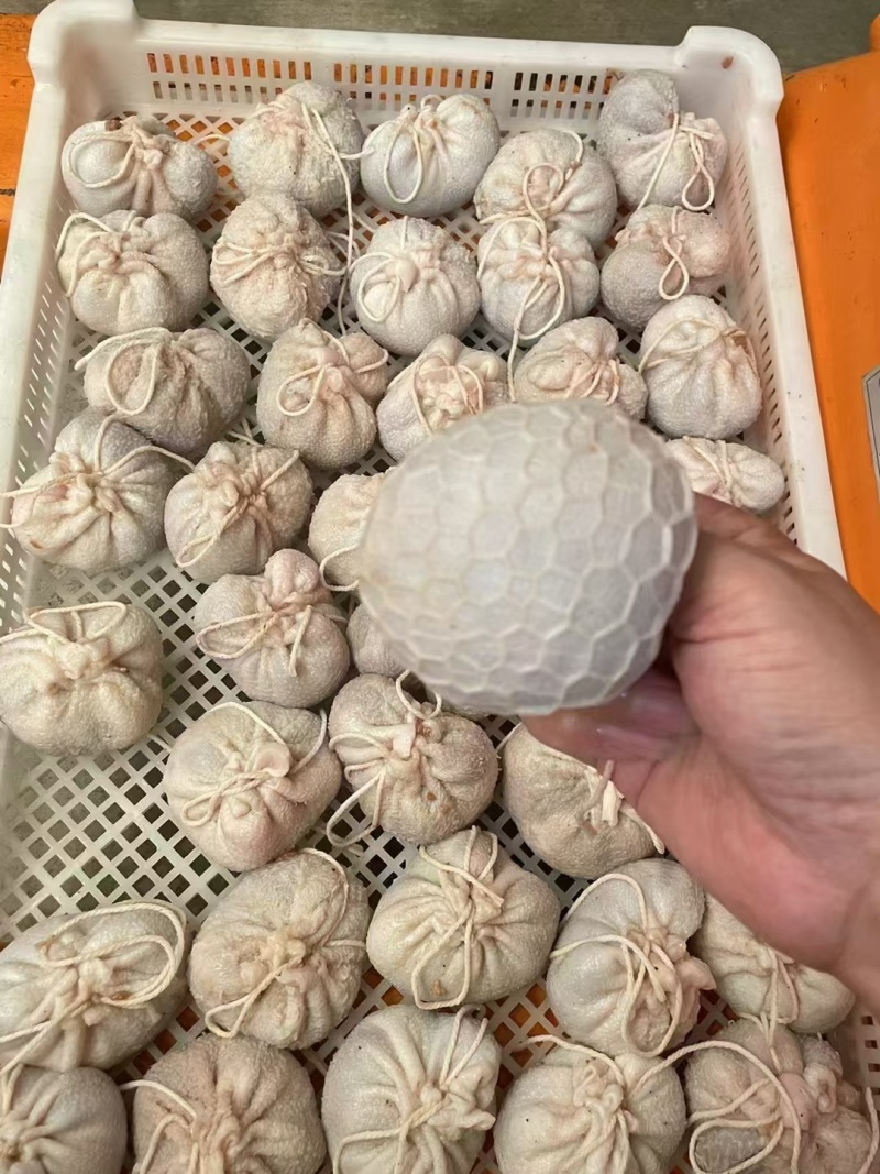 肚包肉