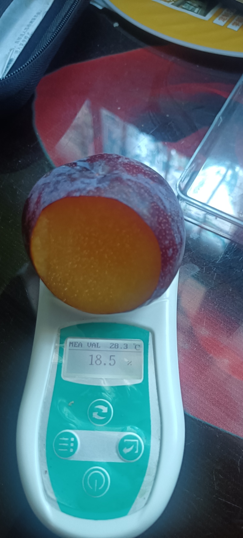 恐龙蛋国风7青脆红脆味帝吉胜五月脆蜂糖李等
