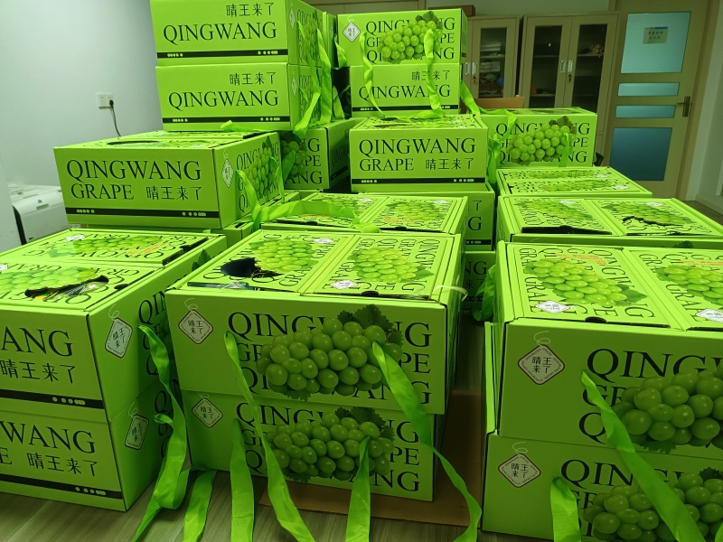 浙江地区推荐嘉兴阳光玫瑰葡萄品质保障现摘现发