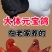 大体元宝圆环观赏鸽