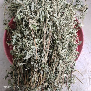 仙鹤草仙鹤草干货2025人工精选产地直发量大从优
