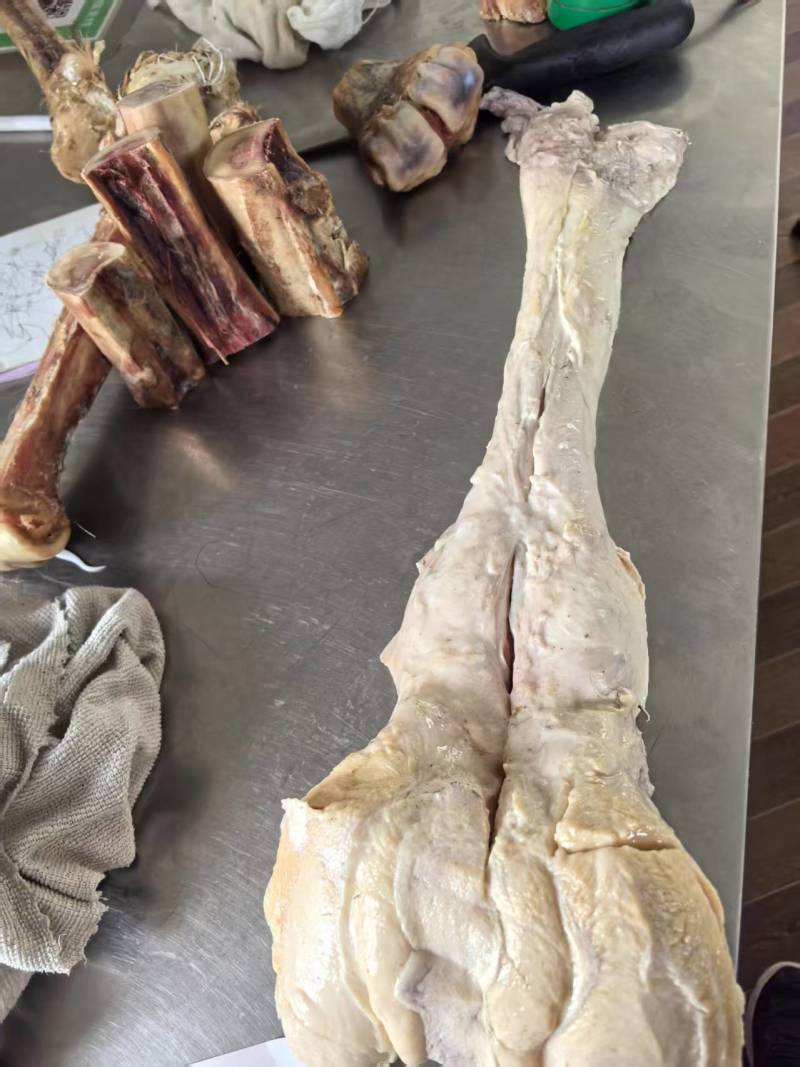 精品驼掌，去皮去骨去蹄筋纯驼掌，大量现货，超低价！
