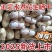 正宗客家咸干水煮花生河源忠信花生