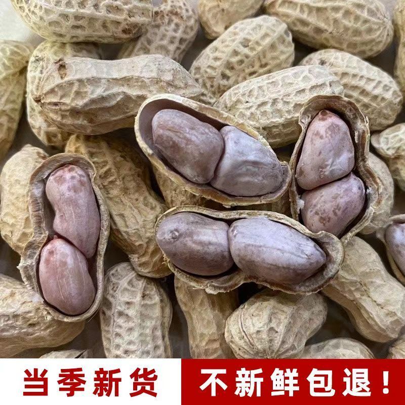 正宗客家咸干水煮花生河源忠信花生