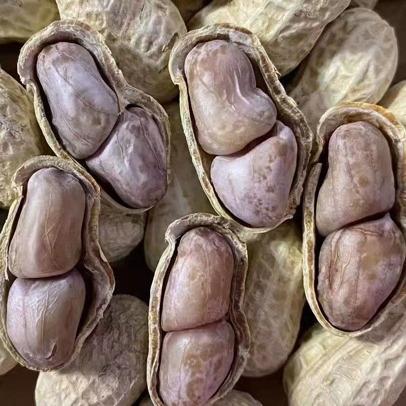 正宗客家咸干水煮花生河源忠信花生