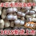 正宗客家咸干水煮花生河源忠信花生