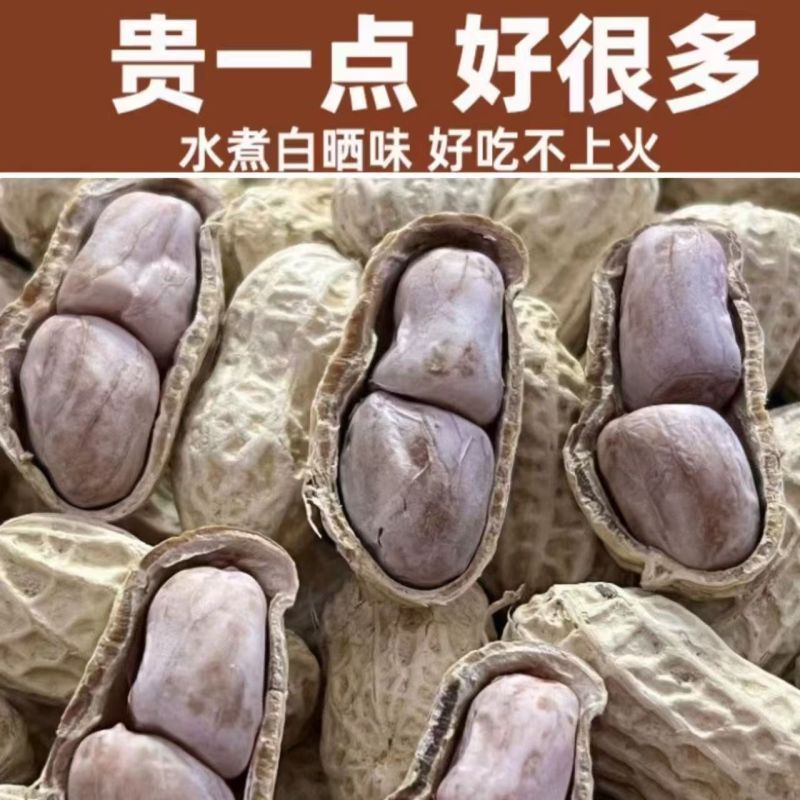 正宗客家咸干水煮花生河源忠信花生
