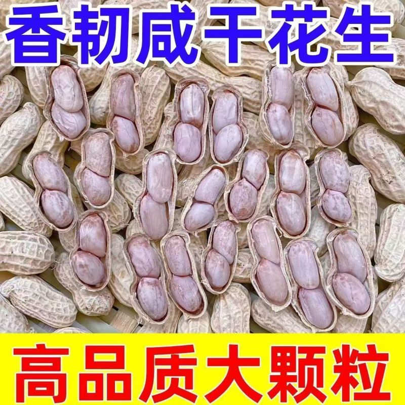 正宗客家咸干水煮花生河源忠信花生