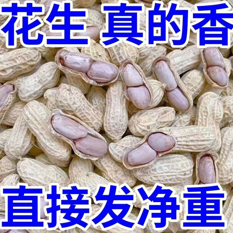 正宗客家咸干水煮花生河源忠信花生