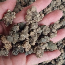 夏天无中药批发无硫正品量大忧惠