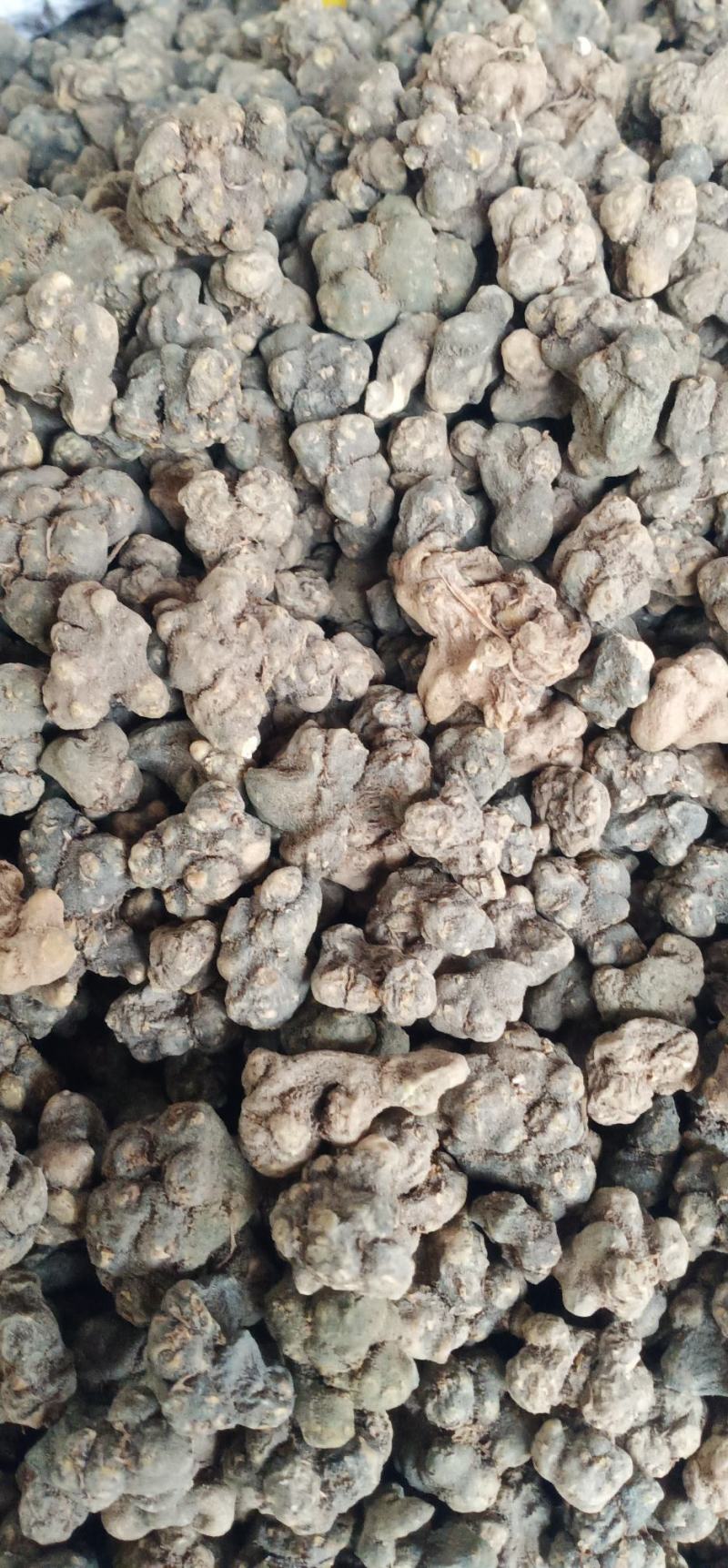 夏天无中药批发无硫正品量大忧惠