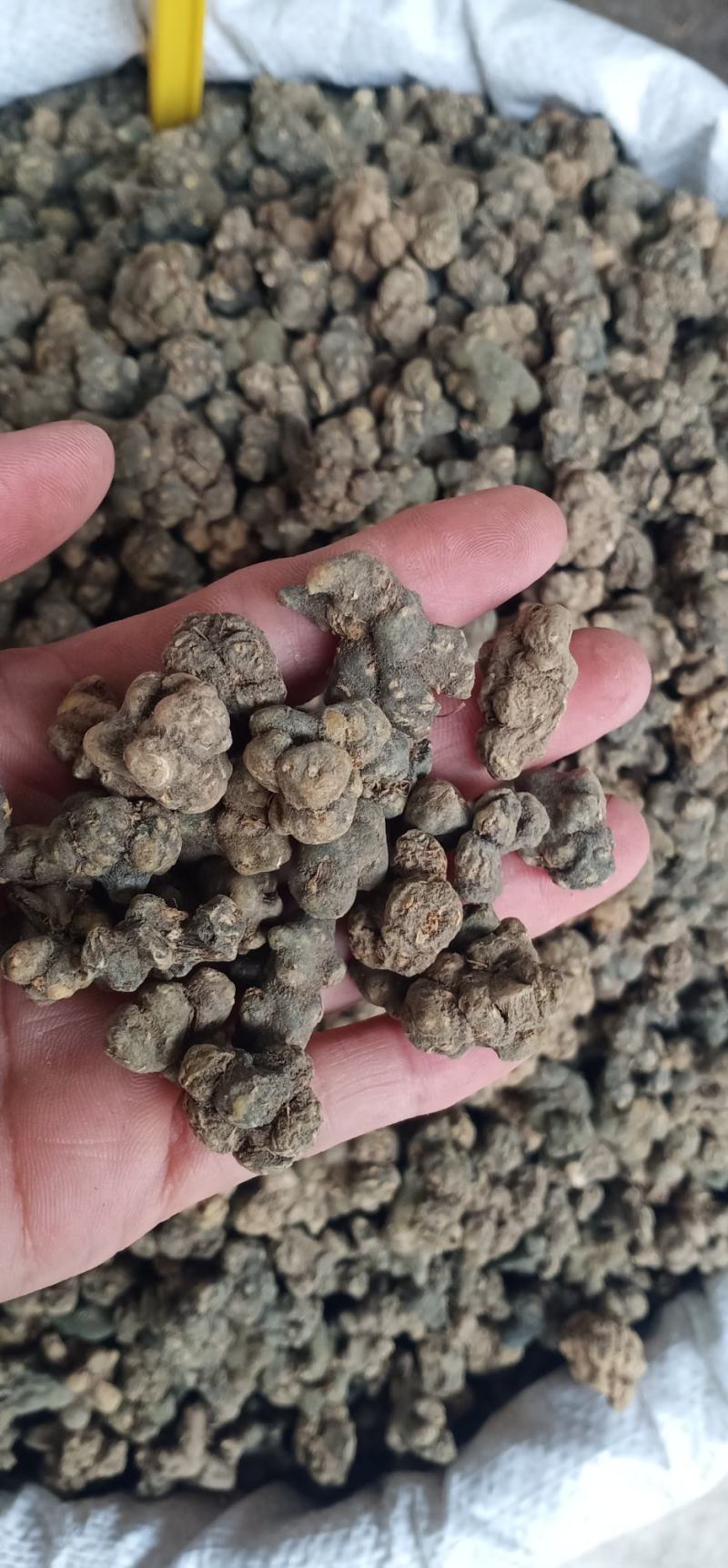 夏天无中药批发无硫正品量大忧惠