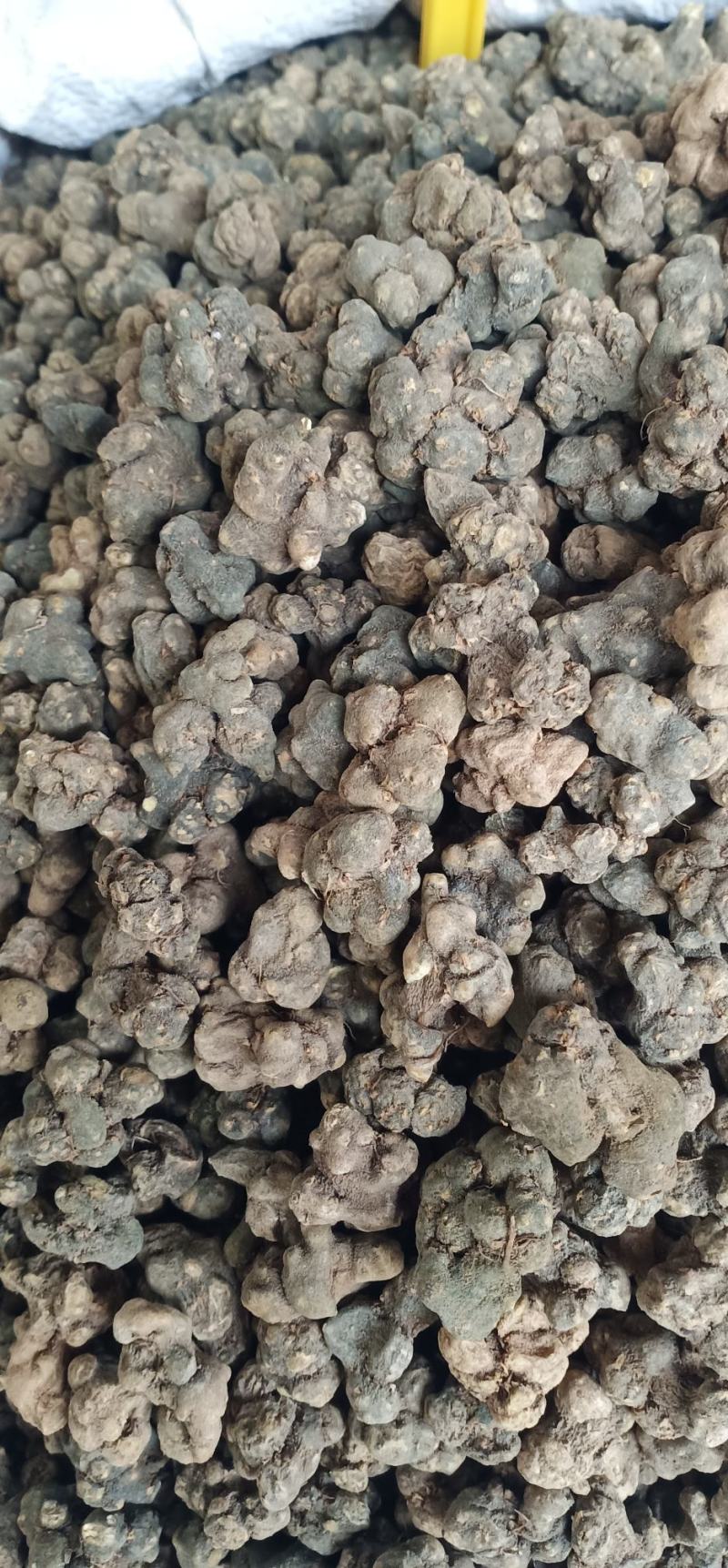 夏天无中药批发无硫正品量大忧惠