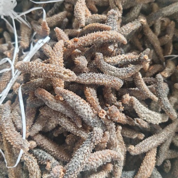 黑刺参海参干货