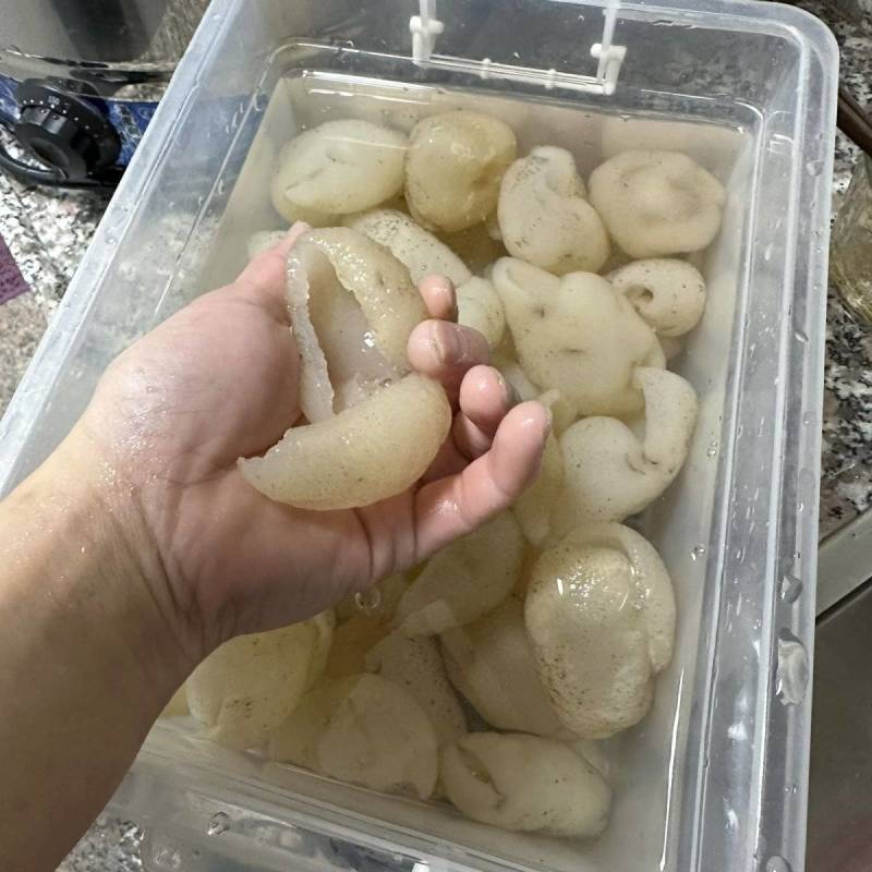 60头球参海参干货