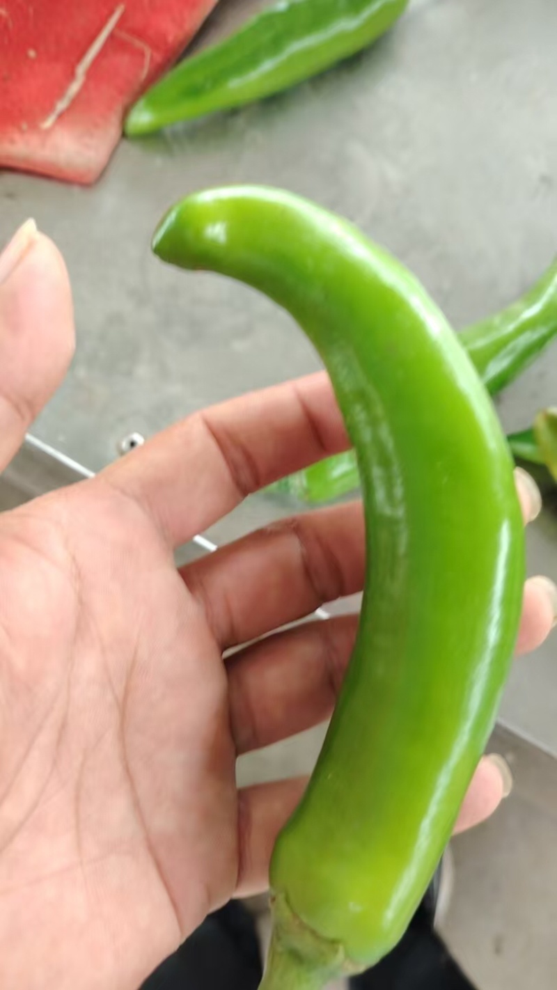 河南许昌辣椒，大量有货，欢迎选购