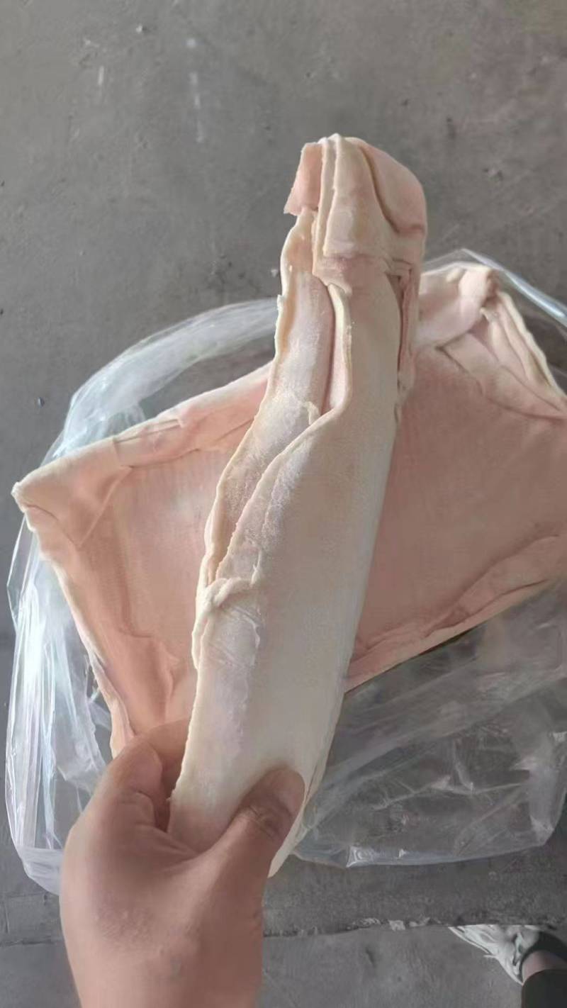 猪中方皮