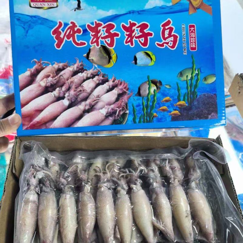 籽乌